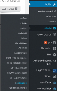 وب سایت چند زبانه در ورد پرس